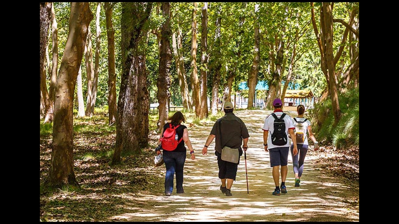 The 360 circuit on foot