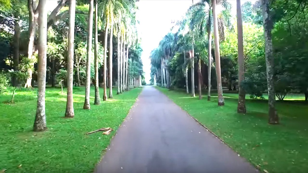 Peradniya botanical garden