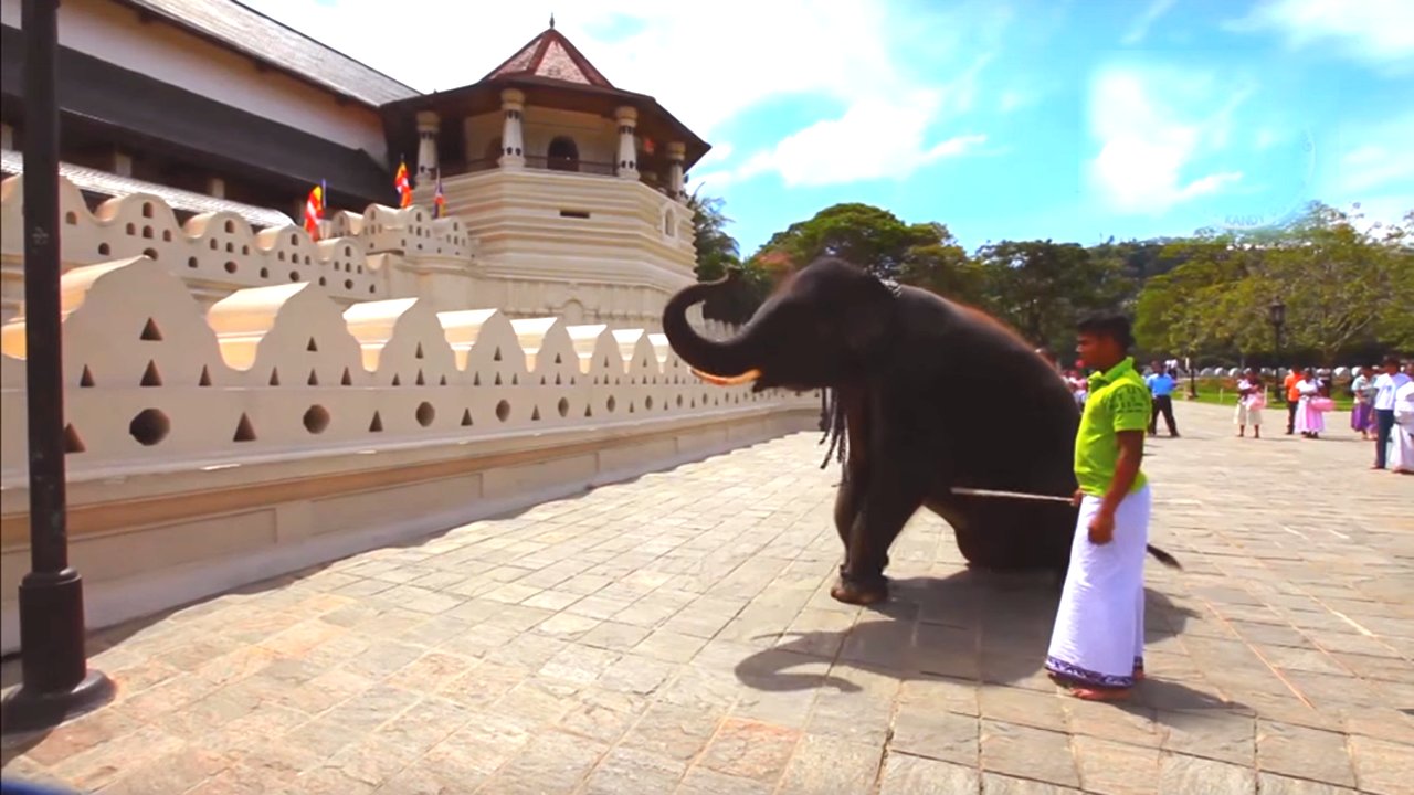 Octagon temple of the tooth relic