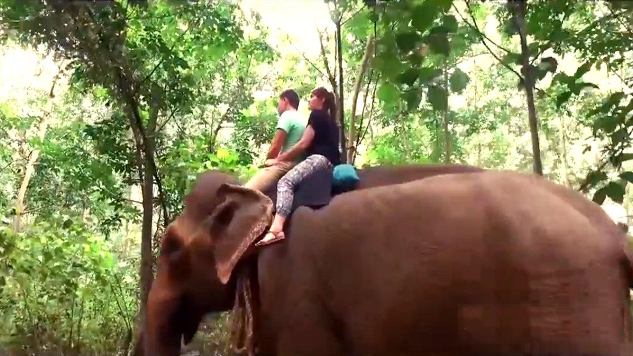 Elephant riding