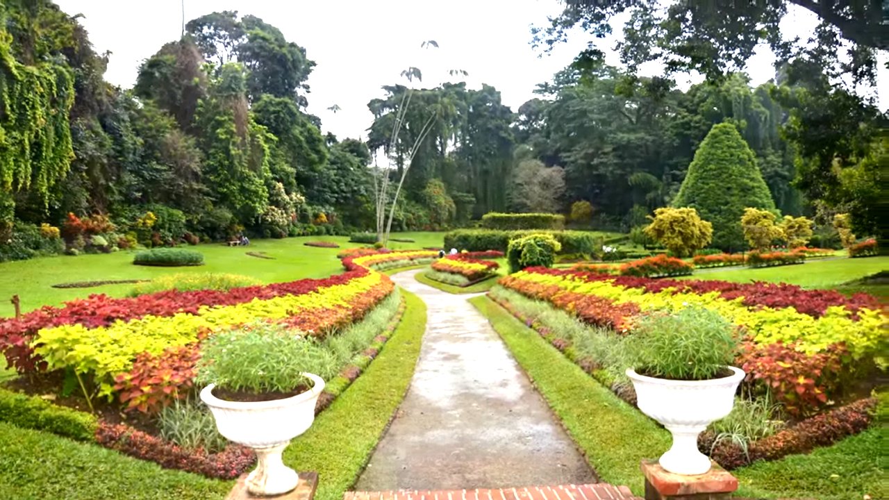 Peradeniya botanical garden