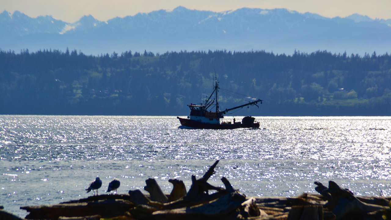 Tugboat on the water