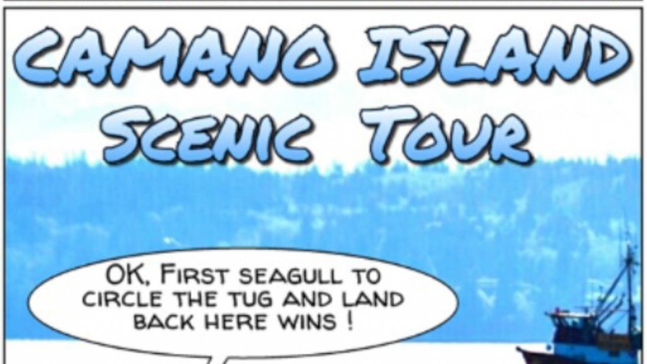 Camano Island Scenic Tour