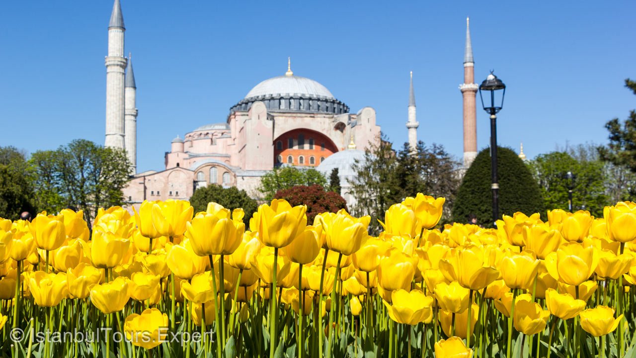 Hagia Sophia during the Tulip Festival