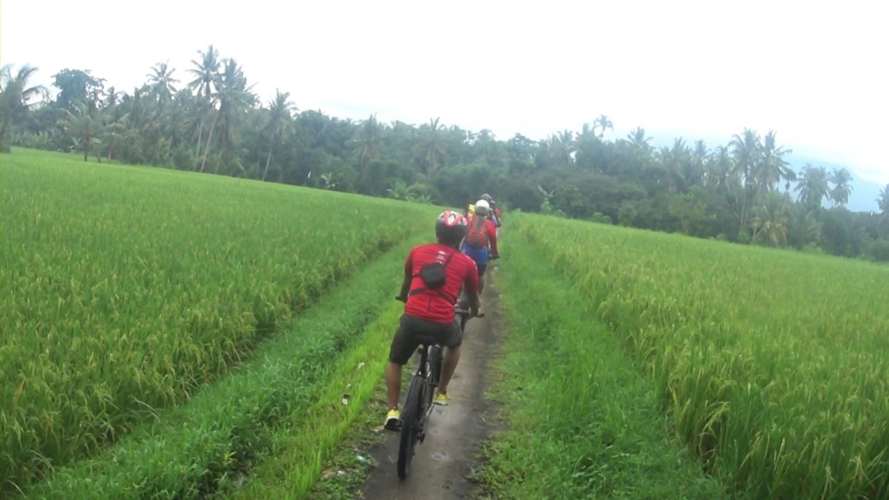 Go Long Countryside Biking Tour