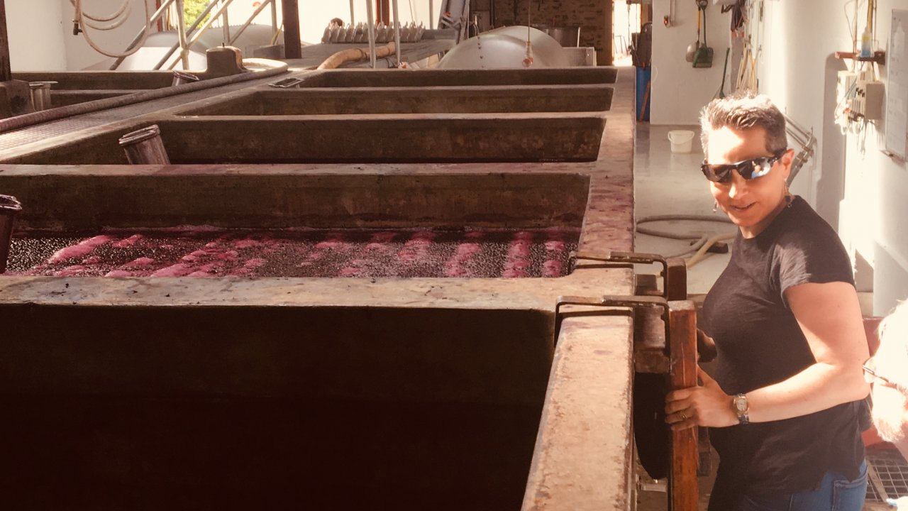 Shiraz open ferments at Henschke