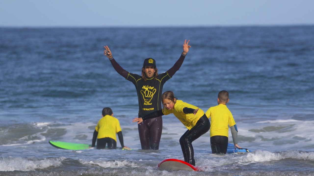 Passionate professional Instructors