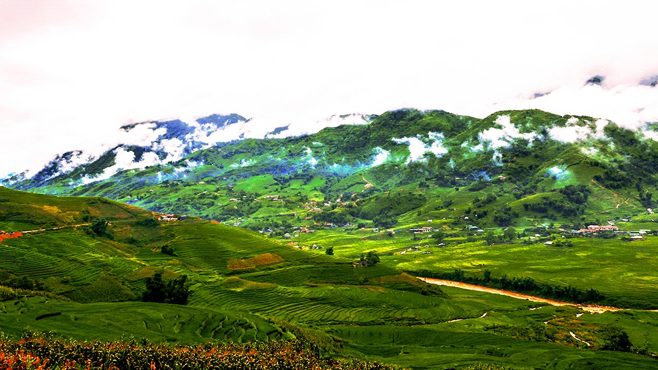 Rice Paddies in Ta Van village
