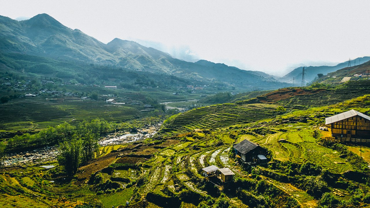 Rice paddies in Lao Chai village