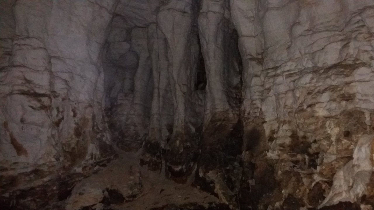 Organ Pipes