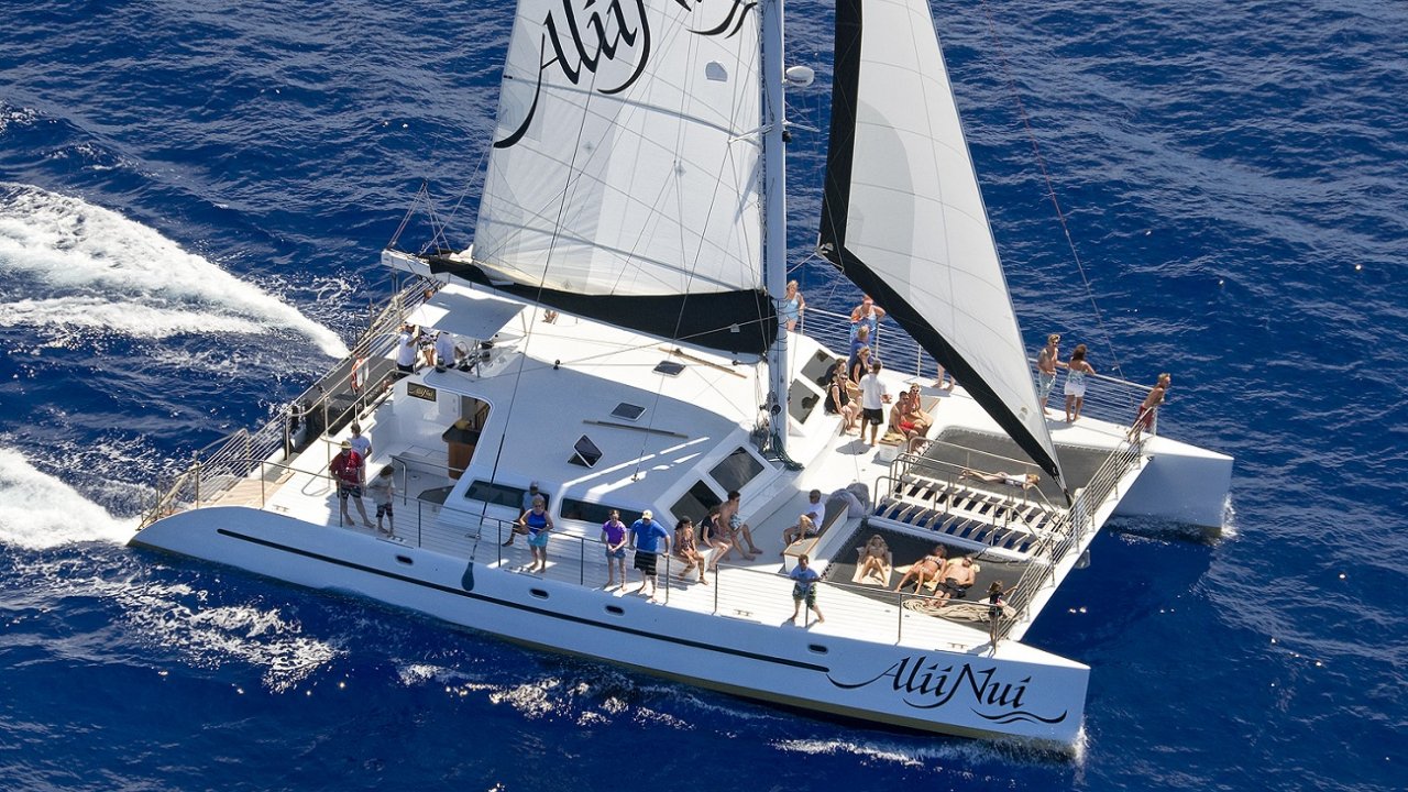 Luxury Catamaran Whale Watch