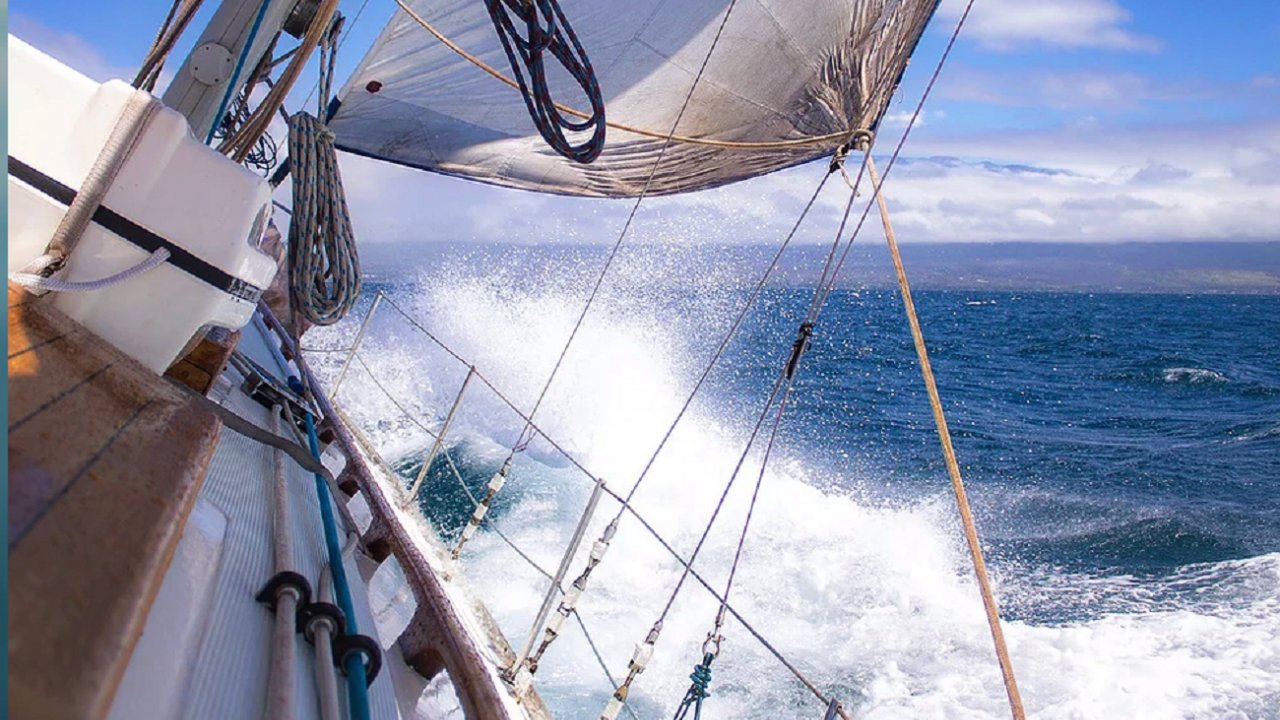 44' Private Sailing/Snorkel Charter (1-6 Guests)