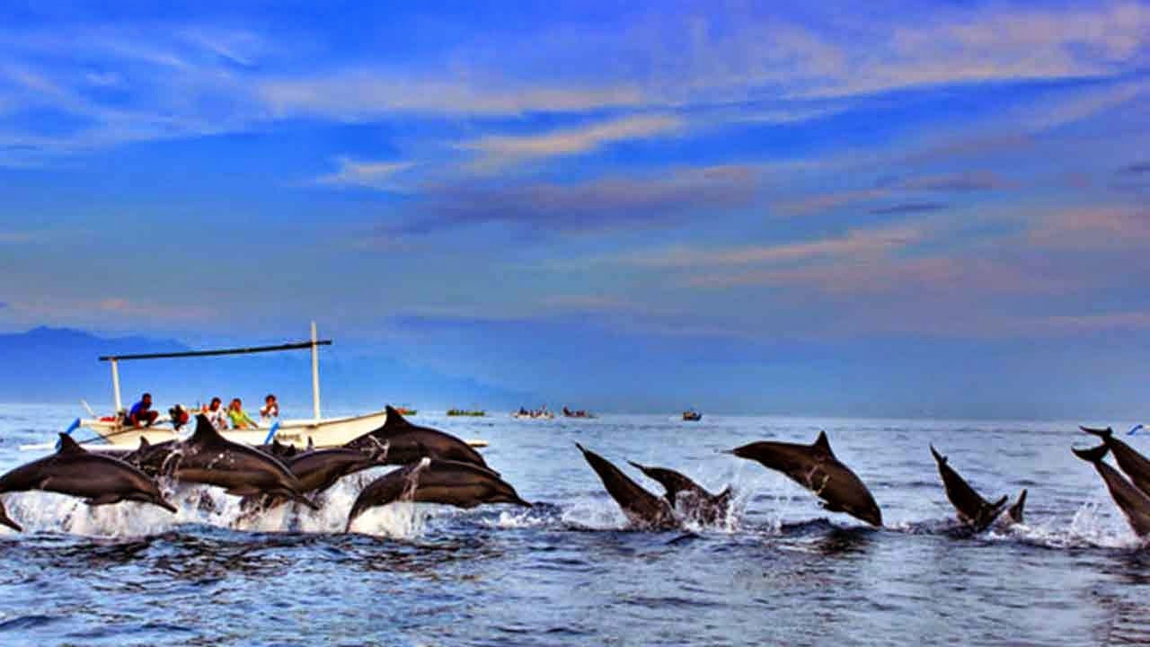 LOVINA DOLPHIN TRIP
