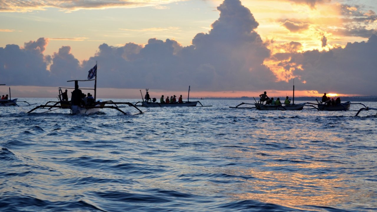 SUNRISE DOLPHIN
