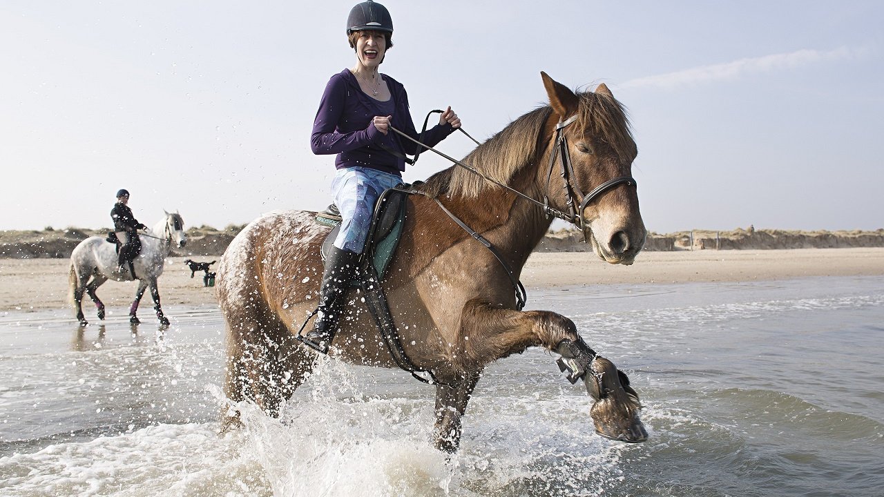 horse ride black sand