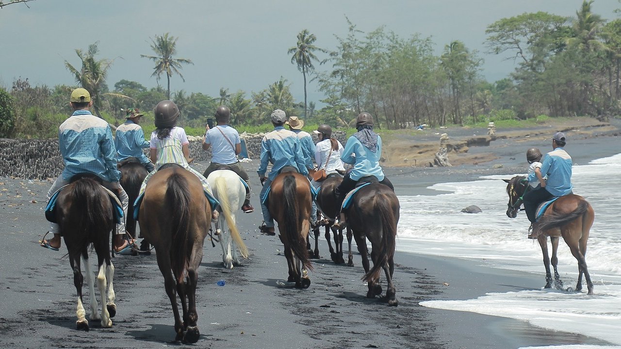 horse trips