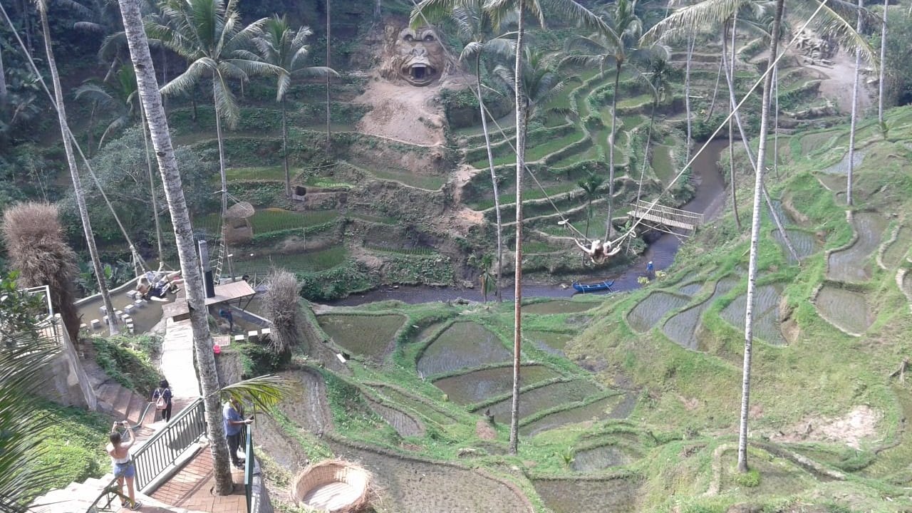 COFFEE BREAK AND PLANTATION