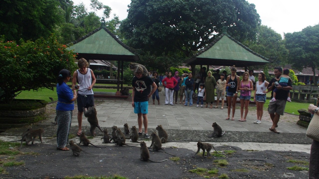 ALAS KEDATON TEMPLE & MONKEY