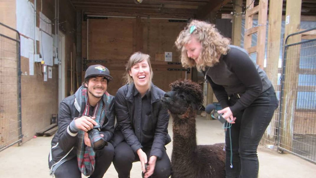 Alpaca My Bags visit