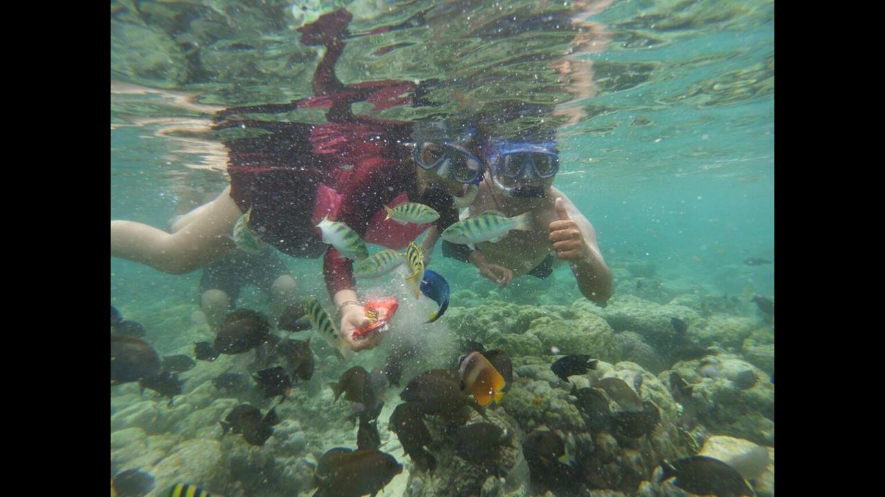 Nemo