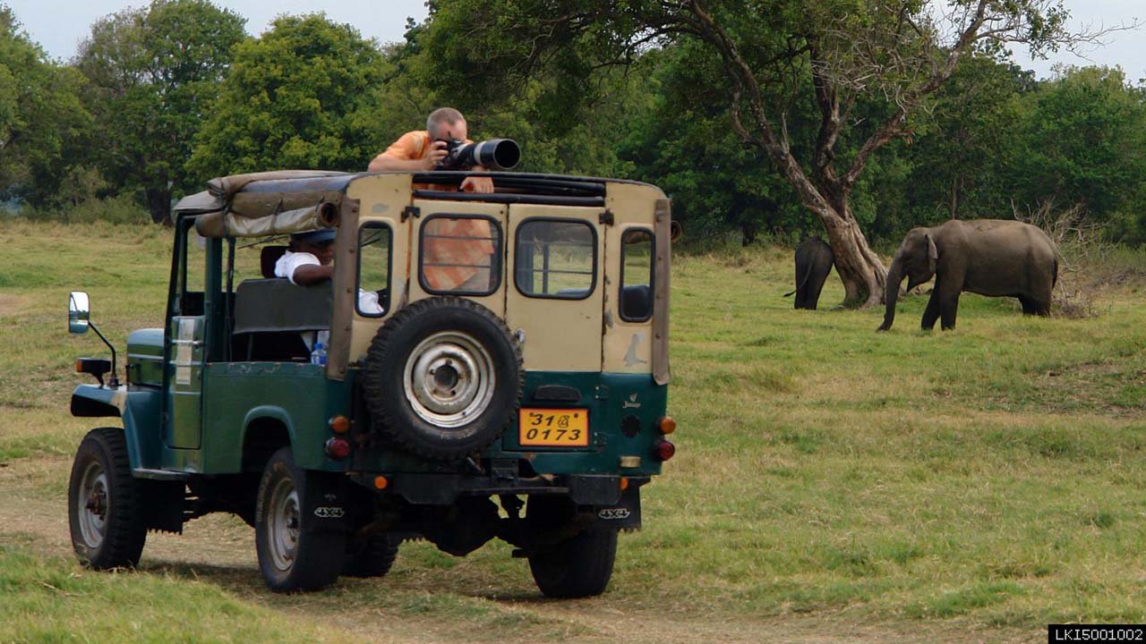 Udawalawe National Park Private Safari (10 Hours)