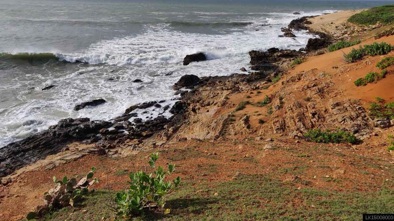 Bundala National Park Private Safari