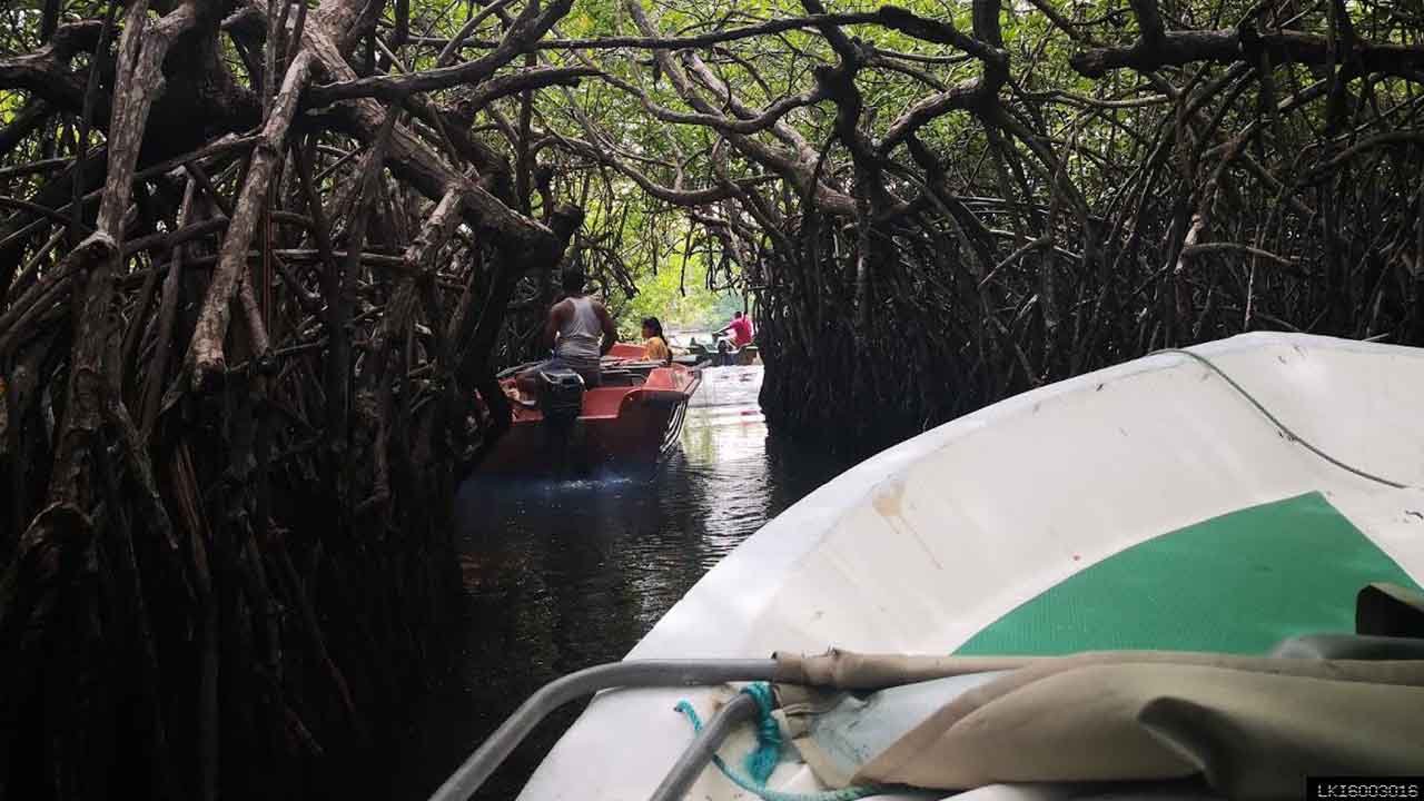 Bentota City Tour from Colombo (Private Day Tour)