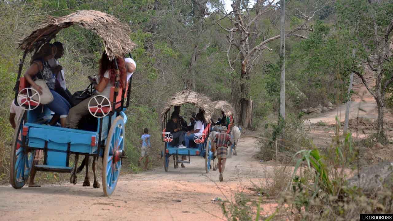 Sigiriya Village Tour and Lunch