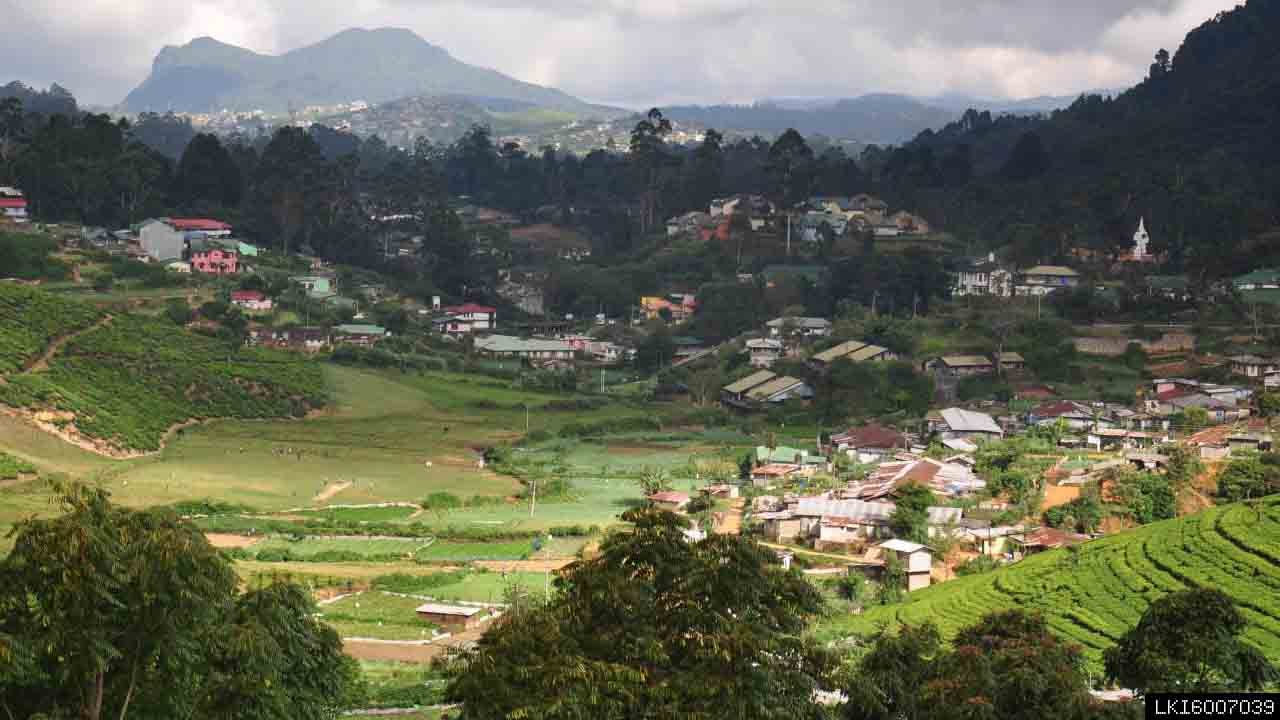 Nuwara Eliya Highlands from Kandy (Private Day Tour)