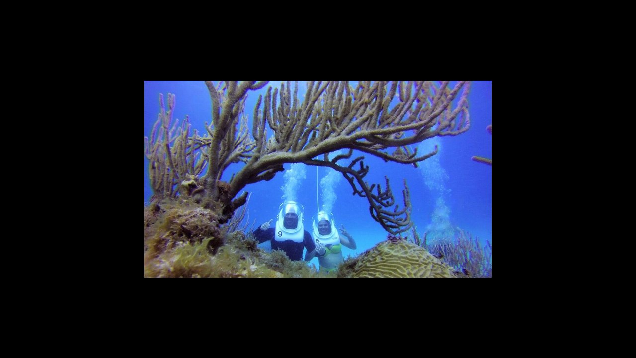 Experience the underwater world