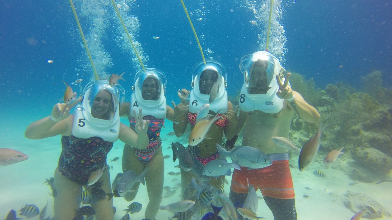 Fun for the whole family