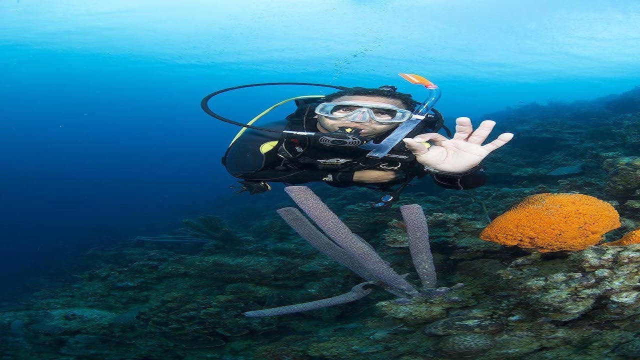 PADI DUP DIVER COURSE