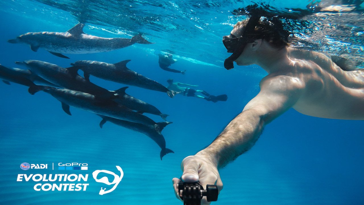 PADI DUP DIVER COURSE