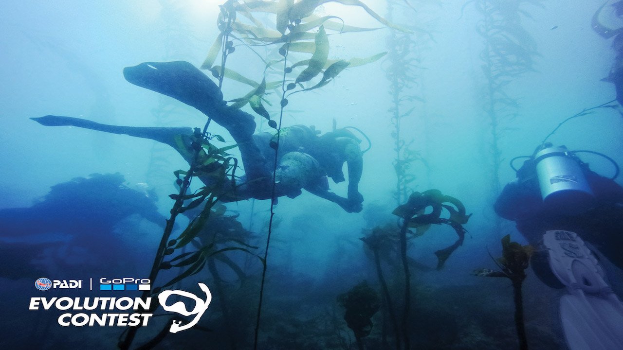 PADI DUP DIVER COURSE