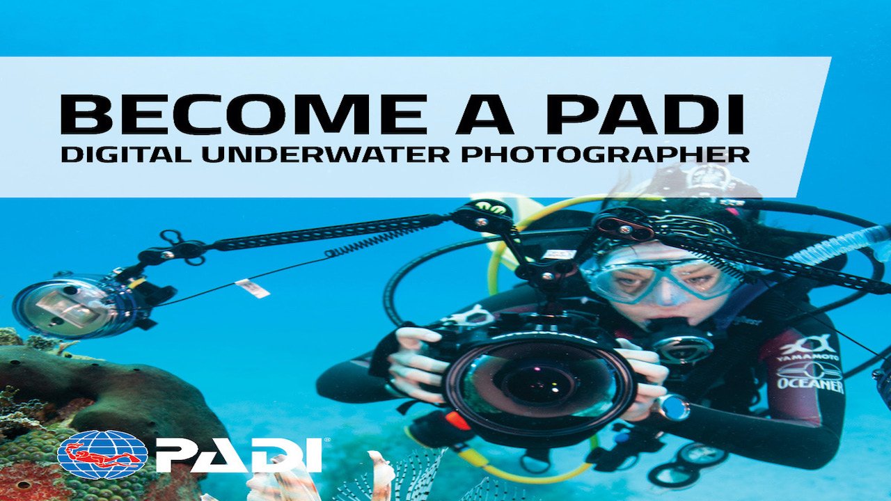 PADI DUP DIVER COURSE