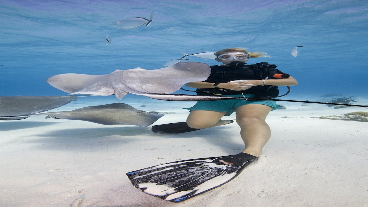 PADI DRIFT DIVER COURSE