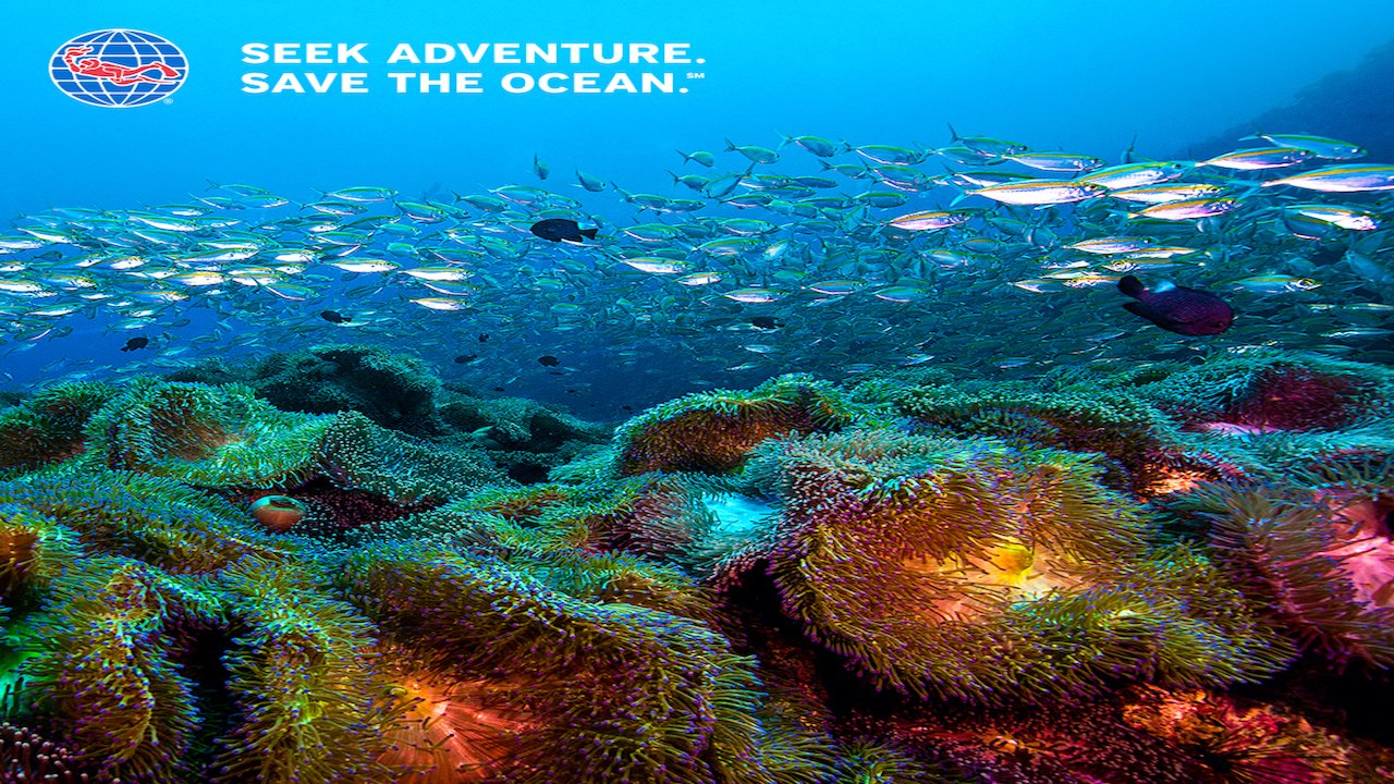 PADI NITROX DIVER COURSE