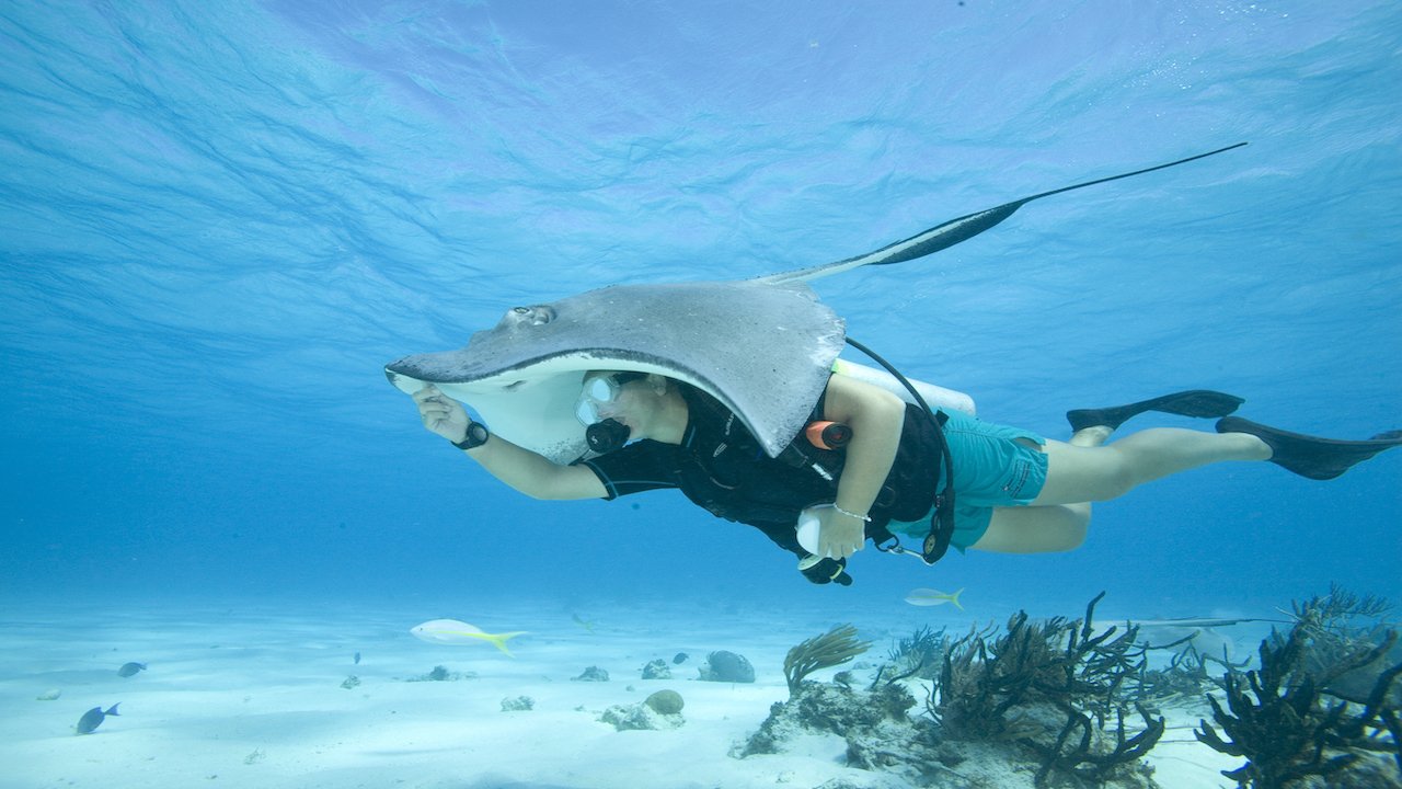 PADI NIGHT DIVER COURSE