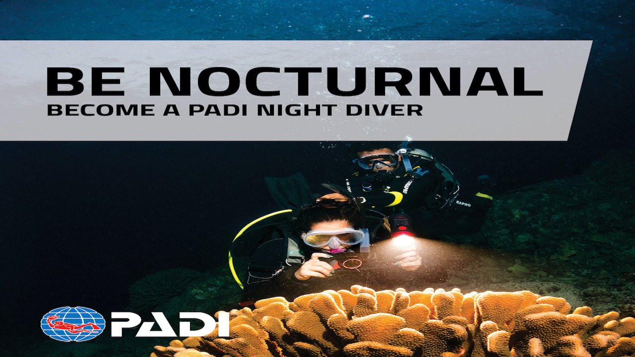 PADI NIGHT DIVER COURSE