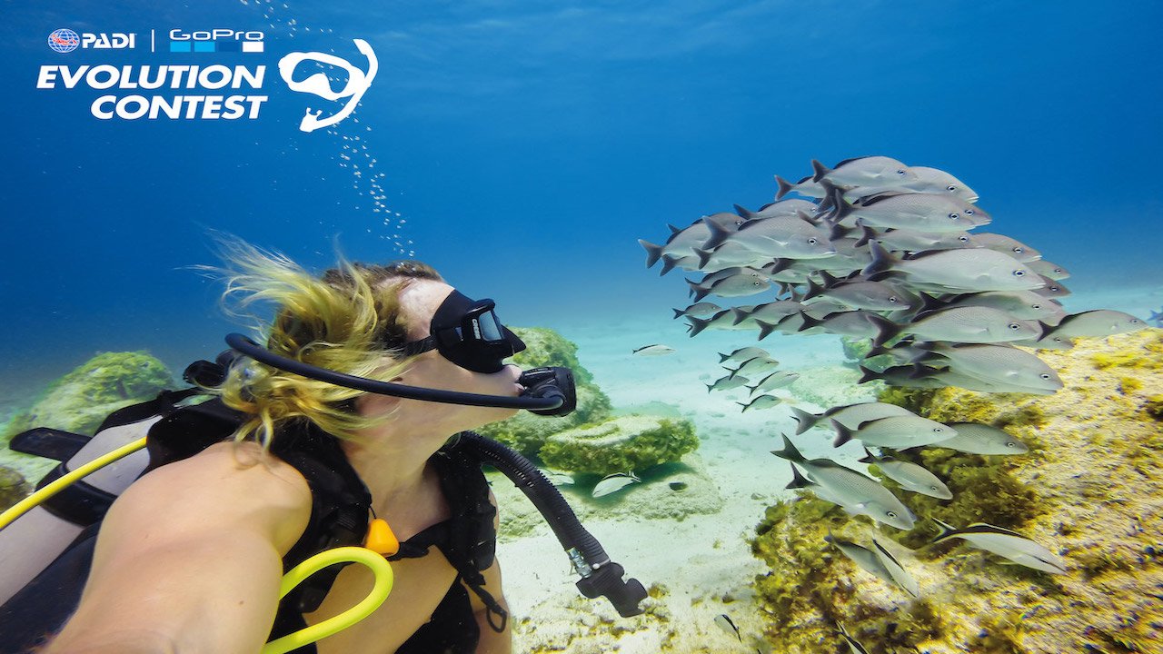 PADI PEAK PERFORMANCE BUOYANCY COURSE