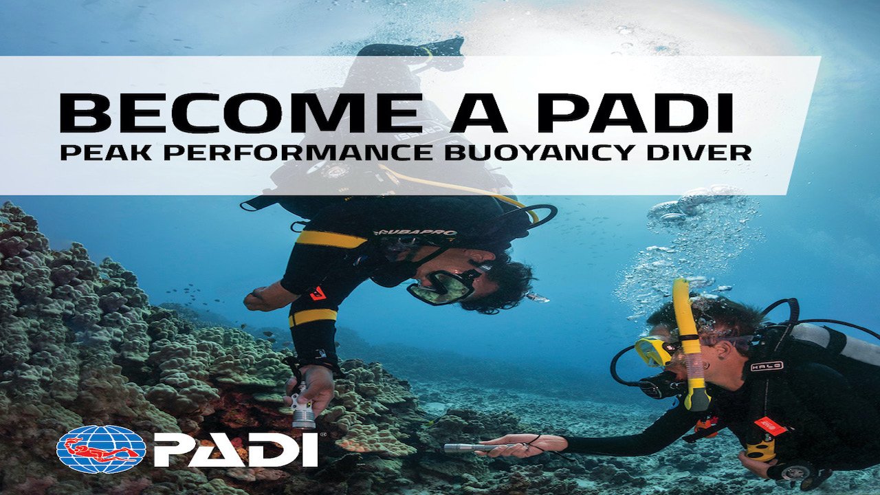 PADI PEAK PERFORMANCE BUOYANCY COURSE