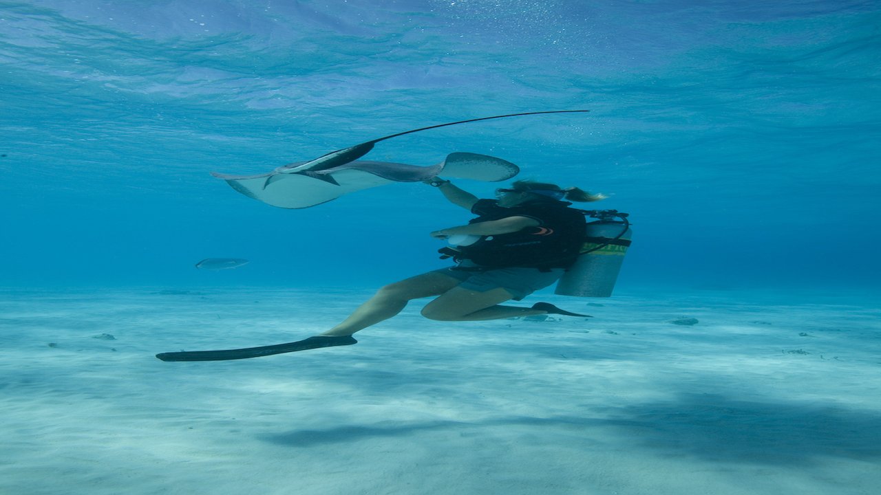 ADI UNDERWATER NAVIGATOR COURSE