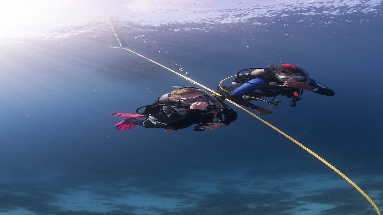 PADI WRECK DIVER COURSE