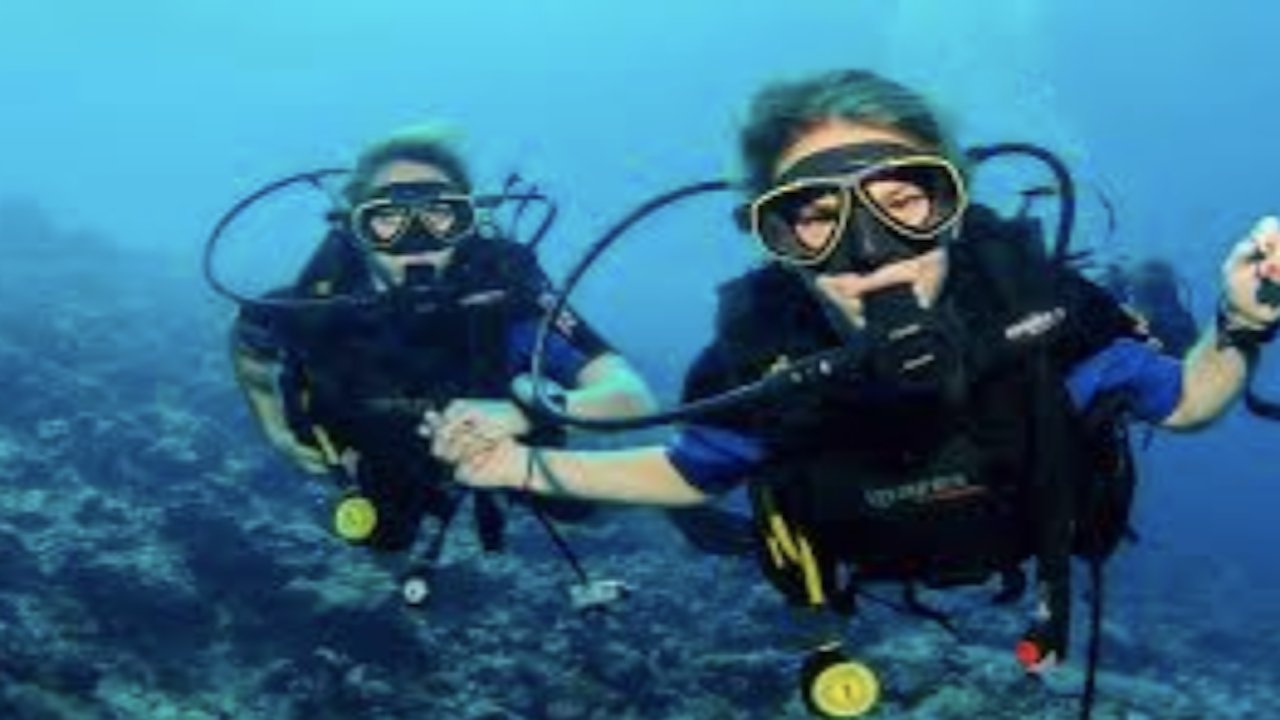 PADI REACTIVATE PROGRAM