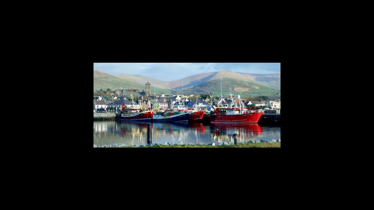 Dingle Marina