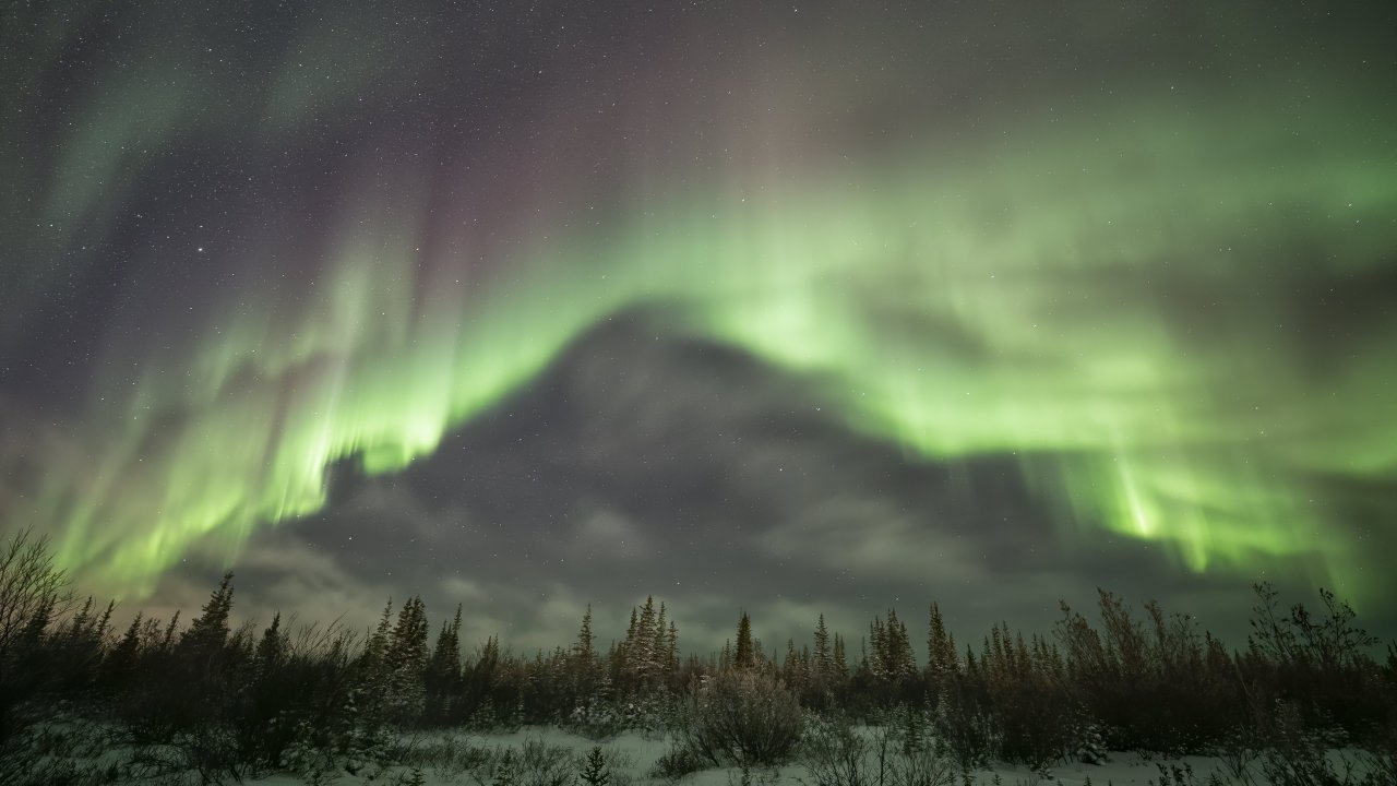 Discover Churchill See the Northern Lights in Churchill, MB Aurora