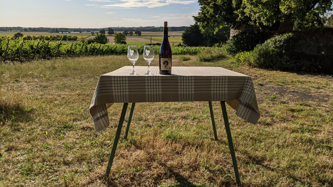 Loire Valley: Sustainable Wine Tasting Escape