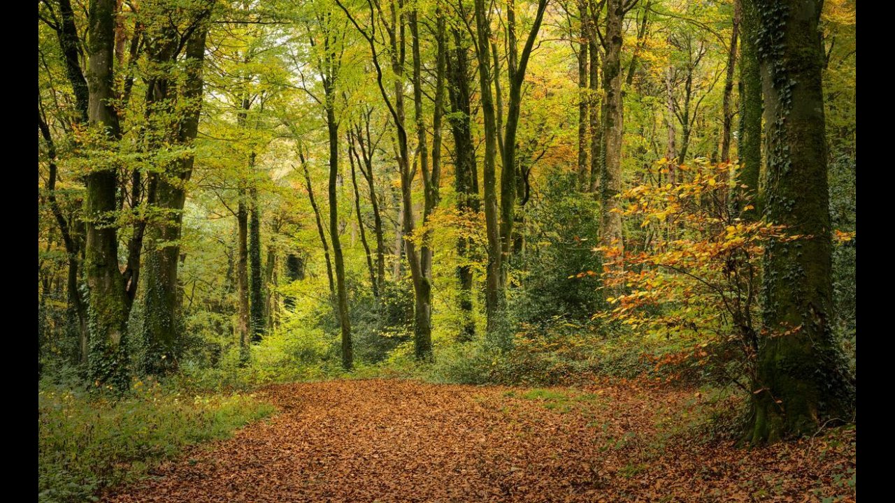 image for illustration only 