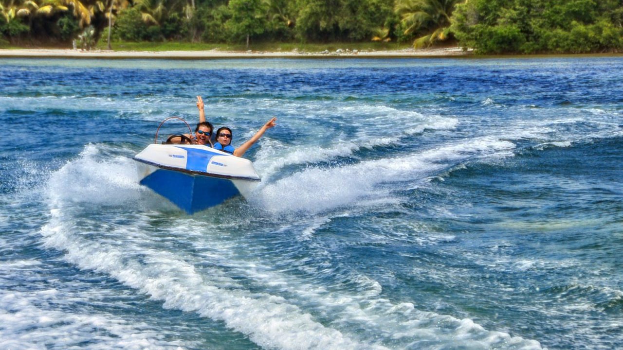 Sailing Splash: High-Speed Adventure, Snorkeling, and Marine Encounters