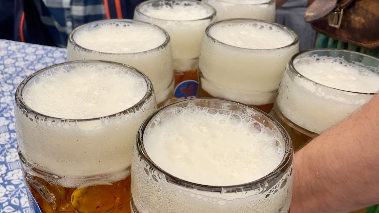 Beers at the Hofbräu Tent